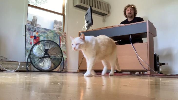 Alasdair Martin: I'm Just a Little, White Cat